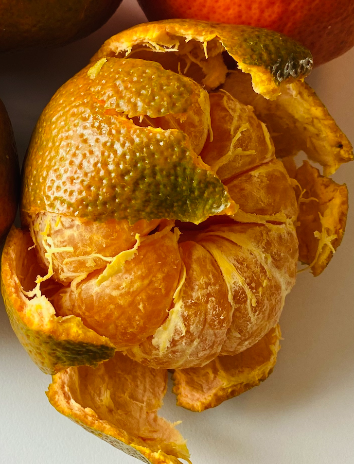 Das Pauli Magazin Warenkunde Clementinen. Süss, meist ohne Kerne und